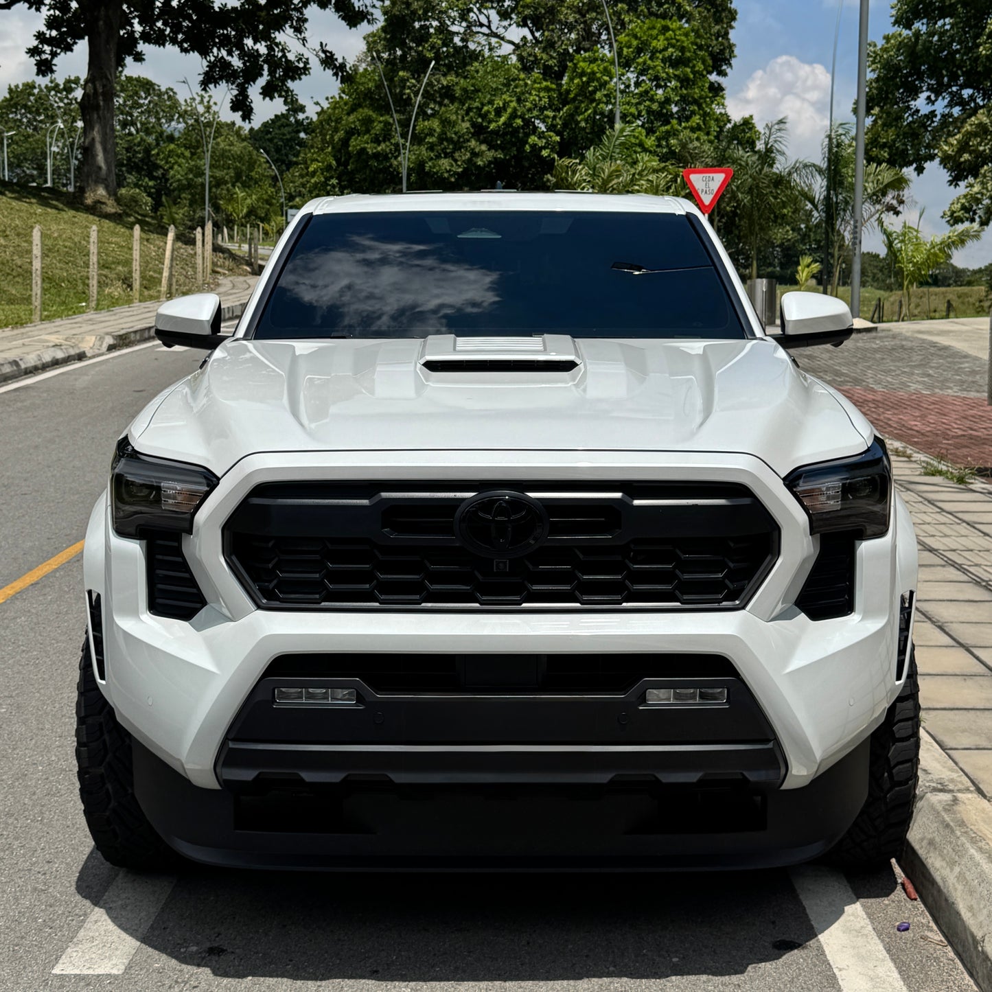 Tacoma TRD Sport Híbrida 2026