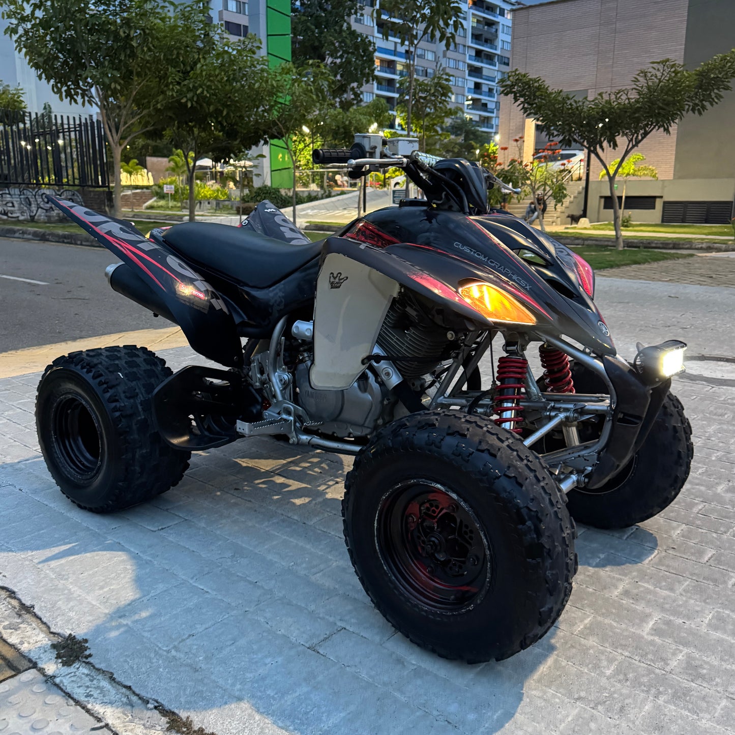 Yamaha Raptor 350cc 2010