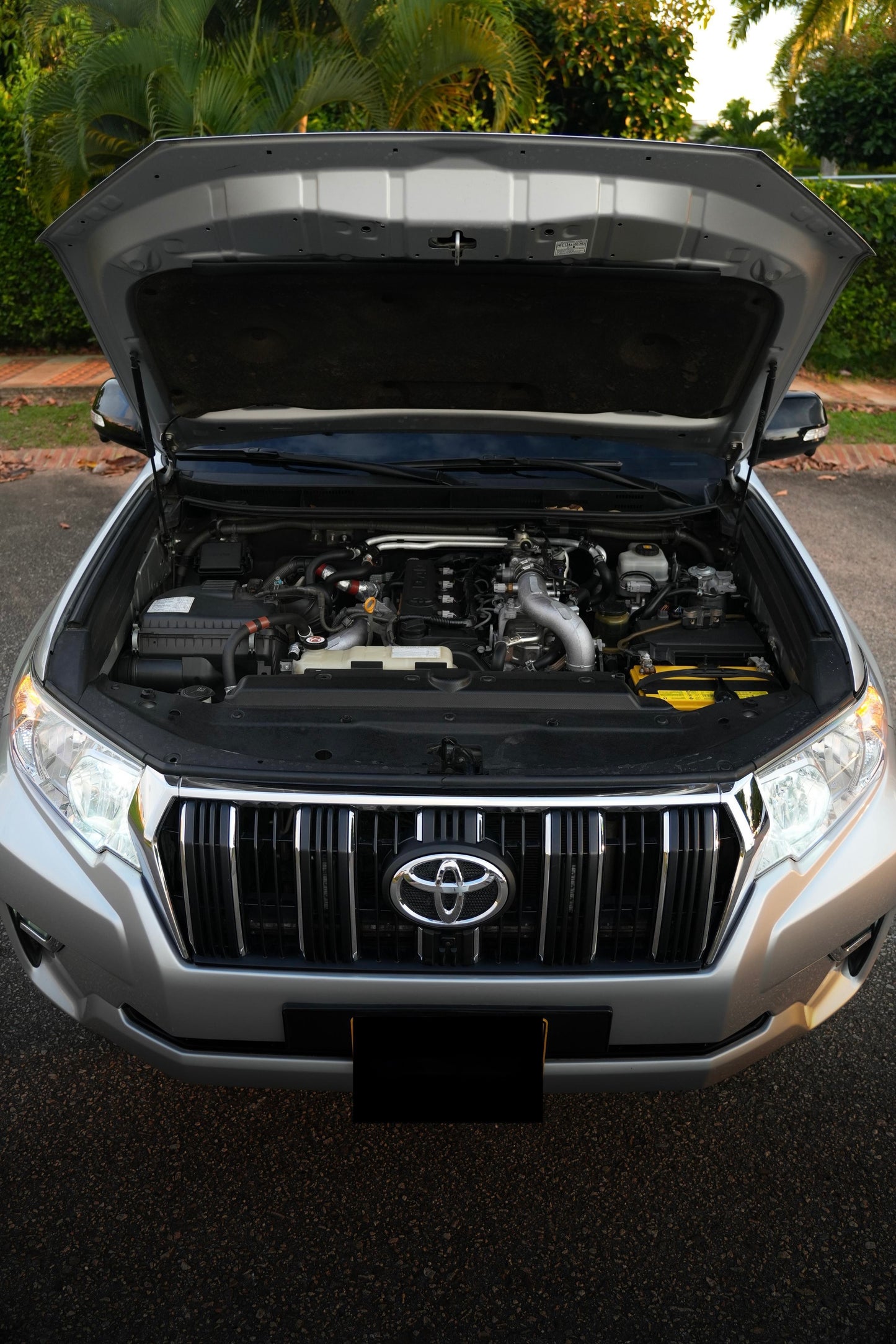 Toyota Prado Txl 2020 Diésel